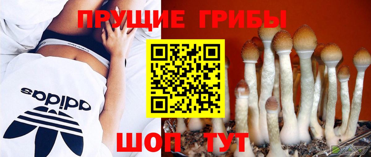 Псилоцибиновые грибы Magic Shrooms Зерноград
