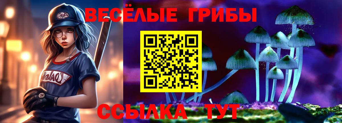 Псилоцибиновые грибы MAGIC MUSHROOMS  Вход с VPN  Зерноград  Псилоцибиновые грибы мухоморы 